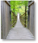 Hängebrücke am Skulpturenweg