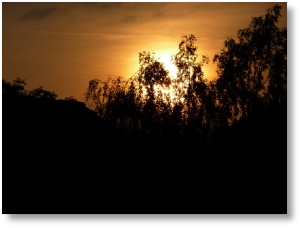 Herbstlicher Sonnenuntergang (c) Ulrich Becker