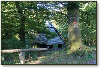 Die Köhlerhütte lädt zum Rasten ein!